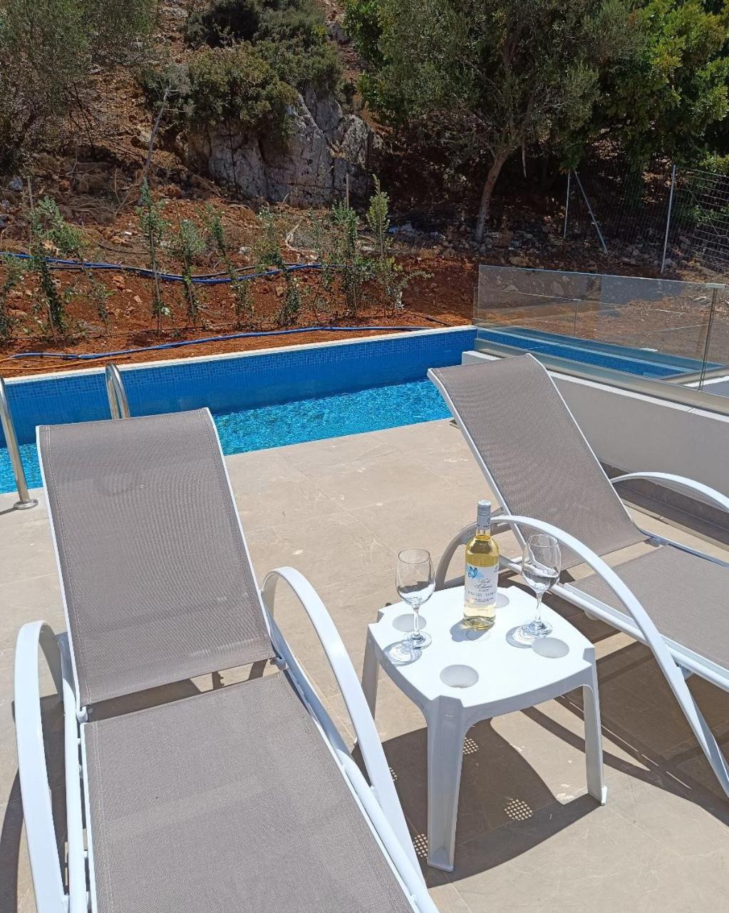 Isabel Artemis Crete - Luxury Sea Views Villas Nopigia 외부 사진